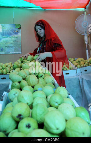 Sept. 17, 2012 - Qalqilya, West Bank, Palestinian Territory - A Palestinian girl wears a traditional dress and displays guava fruits, during the guava festival in the West Bank city of Qalqilya, Sept. 17, 2012  (Credit Image: © Nedal Eshtayah/APA Images/ZUMAPRESS.com) Stock Photo