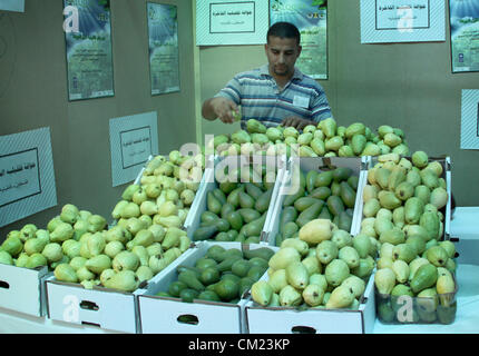 Sept. 17, 2012 - Qalqilya, West Bank, Palestinian Territory - A Palestinian man displays guava fruits, during the guava festival in the West Bank city of Qalqilya, Sept. 17, 2012  (Credit Image: © Nedal Eshtayah/APA Images/ZUMAPRESS.com) Stock Photo