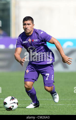 David Pizarro (Fiorentina),  SEPTEMBER 16, 2012 - Football / Soccer :  Serie A match between Fiorentina 2-0 Catania at Artemio Franchi Stadium in Florence, Italy.    (Photo by Enrico Calderoni/AFLO SPORT)  [0391] Stock Photo