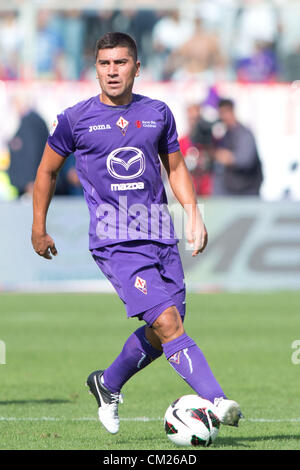 David Pizarro (Fiorentina),  SEPTEMBER 16, 2012 - Football / Soccer :  Serie A match between Fiorentina 2-0 Catania at Artemio Franchi Stadium in Florence, Italy.    (Photo by Enrico Calderoni/AFLO SPORT)  [0391] Stock Photo