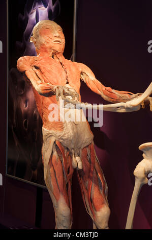 Italy Torino Palaisozaki the exhibition The Human Body Exhibition September 28, 2012 at 12 Am .The exhibition opens to the public on 29 September  2012 and ending January 13, 2013.The bodies in the exhibition are human died of natural causes and treated with a special method called plastination. The visitors, thanks to this method of conservation can view all body organs, bones and muscles and all the inside of the body in every detail Stock Photo