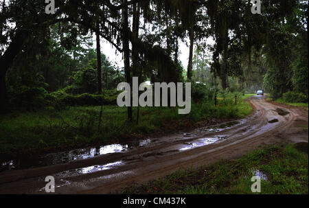 Aug. 23, 2012 - Sapelo Island, Georgia, U.S. - Rainwater collects in the ruts of dirt roads in the African Geechee-Gullah community of Hog Hammock. Many of the dirt roads in the small community of 70 residents are without traffic signs, markings or lighting. (Credit Image: © Stephen Morten/zReportage.com/ZUMA) Stock Photo