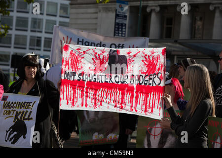 Birmingham, UK. 7th October 2012. Protesting against the Badger cull. At the start of the Conservative Party Conference in Birmingham. Stock Photo