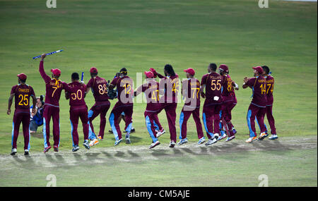The newly crowned Twenty-20 world champs line up to celebrate. Stock Photo