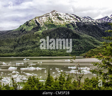 July 5, 2012 - Borough Of Juneau, Alaska, US - Icebergs calved off Mendenhall Glacier float on the surface of Mendenhall Lake, surrounded by the majestic Coast Mountain Range. In foreground conifers of the Tongass National Forest line the shore. More than 350,000 people a year visit the area to see the receding glacier which flows from its source 12 miles up the Juneau lcefield to its terminus at Mendenhall Lake. (Credit Image: © Arnold Drapkin/ZUMAPRESS.com) Stock Photo