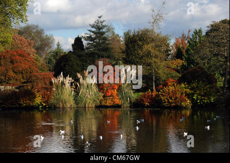 Wakehurst ,  Sussex, UK.  - Autumn sunshine brings out the colours and visitors to Wakehurst Place in Sussex Stock Photo