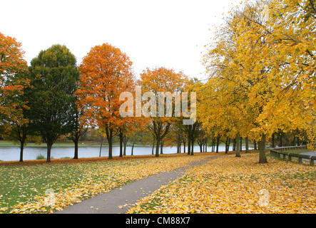 Hertfordshire, UK - Autumn Colours in Fairlands Valley Park, Stevenage, Herts, UK. October 26th 2012..  Photo by Keith Mayhew Stock Photo