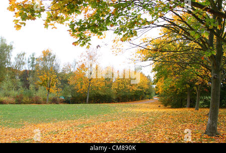 Hertfordshire, UK - Autumn Colours in Fairlands Valley Park, Stevenage, Herts, UK. October 26th 2012..  Photo by Keith Mayhew Stock Photo