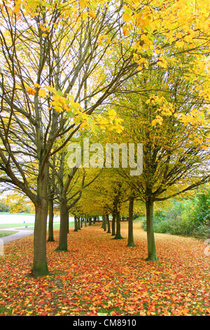 Hertfordshire, UK - Autumn Colours in Fairlands Valley Park, Stevenage, Herts, UK. October 26th 2012..  Photo by Keith Mayhew Stock Photo