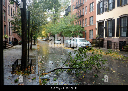 October 29, 2012, Brooklyn, NY, US.  Downed tree branch on street in Brooklyn Heights during Hurricane Sandy Stock Photo