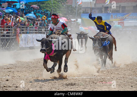 Water buffaloes racing at Chonburi World Buffalo Carnival,Thailand Stock Photo