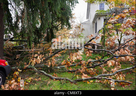 Chappaqua, NY, USA 30 Oct 2012: Hurricane force winds from Hurricane Sandy hit Westchester County New York Monday. Fallen trees caused the most severe damage in towns not on the water, as seen here the day after the storm. At least 150 large trees were downed in Chappaqua NY. Here a neighbor's oak tree hit a home and two cars, causing property damage but no injuries. Elsewhere in the Hudson Valley three people, including two children, died when trees fell on homes. Stock Photo