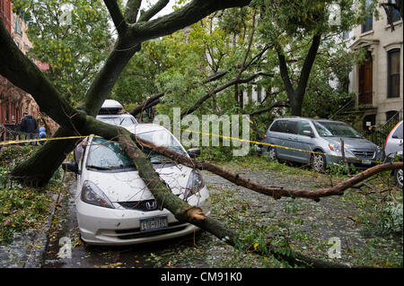 Hurricane Sandy aftermath, Park Slope, Brooklyn, New York City, USA. Stock Photo