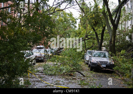 Hurricane Sandy aftermath, Park Slope, Brooklyn, New York City, USA. Stock Photo