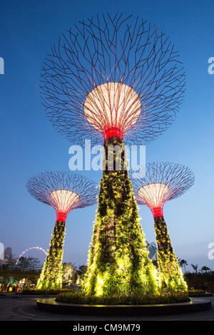 'Supertrees' at Singapore’s Gardens by the Bay. Opened on June 29, 2012. Situated on reclaimed land in Singapore's new Marina Bay development. Designed by British Architects Wilkinson Eyre and landscape architecture firm Grant Associates. The gardens occupying 101 hectares. There is 18 Supertrees and over 162,000 plants. (Credit Image: © Stuart Jenner / www.stuartjennerphotography.com) Stock Photo