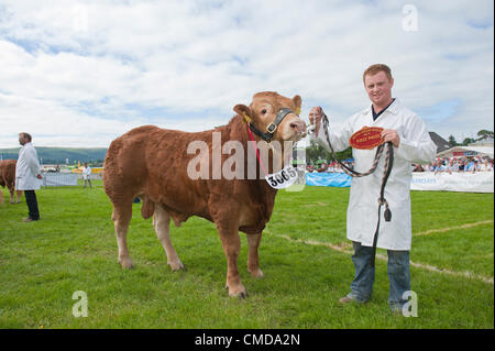 23rd July 2012. Llanelwedd, Wales, UK. Winner, C V & E M Lewis & Sons, of Limousin Cattle class, bull born on or between 1st April 2011 and 31st May 2011. Judging begins on the first day of The Royal Welsh Agricultural Show. Photo credit: Graham M. Lawrence/Alamy Live News. Stock Photo