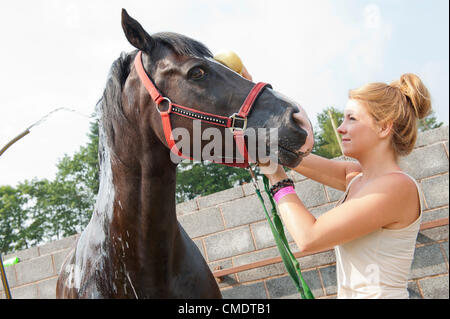 Royal Welsh Agricultural Show, Llanelwedd, Wales, UK. 26th July 2012. Tybanadl Ehedwr a 13 year old Welsh Section D Gelding owned by John & Lesley Halliwell from Manchester, gets a welcome cool down from Lesley 62 and Jodie 18 in the hot weather. Rider Jodie won the Hoys class this week and last year the Champions event. Graham M Lawrence/Alamy Live News. Stock Photo