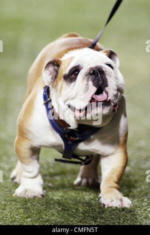 Sept 18, 2010: Tech XX, the Louisiana Tech Mascot patrols the sidelines during the contest between the Louisiana Tech Bulldogs and the Navy Midshipmen at Joe Aillet Stadium in Ruston, Louisiana. Navy won 37 - 23. (Credit Image: © Donald Page/SCG/ZUMAPRESS.com) Stock Photo