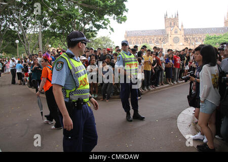 Sydney, Australia. 2 November 2013. People wait in Hyde Park for the start of the Sydney Zombie Walk. Copyright Credit:  2013 Richard Milnes/Alamy Live News. Stock Photo