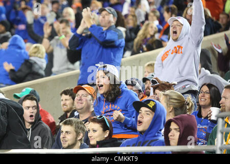 Fort Collins, CO, USA. 2nd Nov, 2013. November 2, 2013: Boise State fans cheer on their team against Colorado State in the first half in Fort Collins. Credit:  csm/Alamy Live News Stock Photo