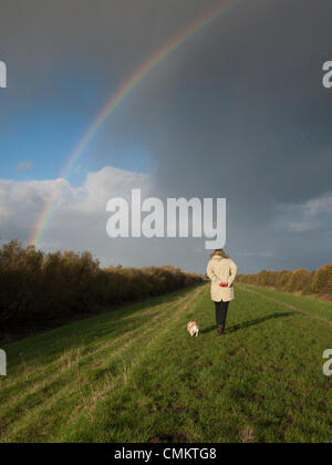 Over, Cambridgeshire, UK. 3rd Nov, 2013. A woman walks a dog under stormy Fen skies and a rainbow on the flood banks at Over in Cambridgeshire UK  3rd November 2013. It was a blustery but sunny day with occasional showers, dramatic under the wide open Fen skies. Credit Julian Eales/Alamy Live News Stock Photo