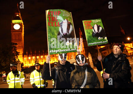 London, UK. 5th November 2013. Badger Culliing portestors in front of the Houses of Parliament at the 5th November protests in Parliament Square including OpVendetta by Anonymous UK, anti-government cuts protestors and anti-badger culling demonstrations, London, England Credit:  Paul Brown/Alamy Live News Stock Photo