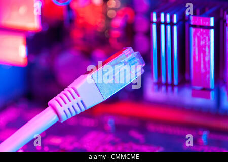 Germany/Brandenburg/Illustration: Internet connection, DSL/Lan-cable at a computer , 4 Nov 2013 Stock Photo