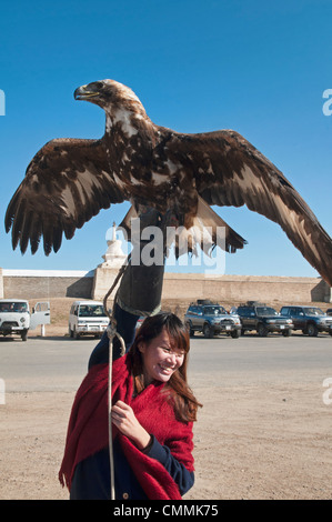 tourist hoisting a golden eagle in the Orkhon Valley of Mongolia Stock Photo