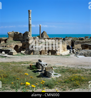 Ruins of ancient Roman baths, Antonine Baths, Carthage, UNESCO World Heritage Site, Tunis, Tunisia, North Africa, Africa Stock Photo