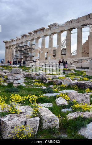 ancient temple Parthenon Acropolis Athens Greece with scaffolding under renovation Stock Photo