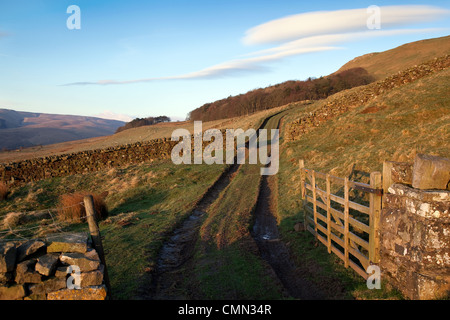 Deep rutted field tracks in the countryside of Rydale, North Yorkshire Dales and National Park, UK Stock Photo