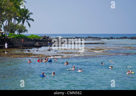 USA, Hawaii, Kailua-Kona. Snorkeling at Kahalu'u Beach. Stock Photo