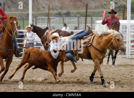 USA, Salmon, Idaho, Steer Wrestling, High School Rodeo Stock Photo