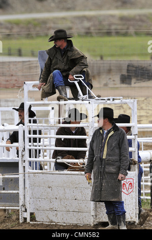 USA, Salmon, Idaho, Tie-Down Roping, High School Rodeo Stock Photo