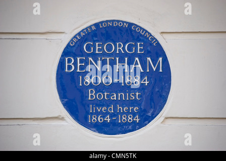 greater london council blue plaque marking a home of botanist george bentham, belgravia, london, england