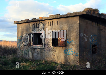 Vandalised and abandoned building on Cramond Island near Edinburgh Stock Photo
