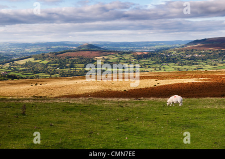 View over the Usk valley taken from Llangynidr moors on the B4560 Brecon Beacons national Park, Mid Wales in Autumn Stock Photo