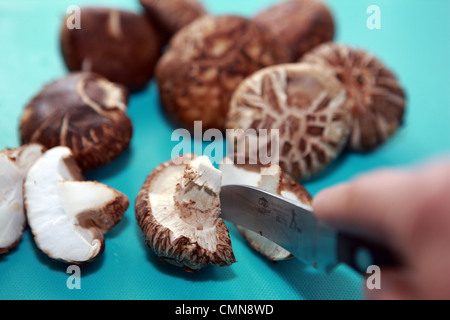 Cutting portabello mushrooms on a turquoise chopping board Stock Photo