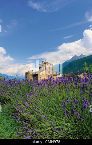 Italy Valle d'Aosta San Pierre Sarriod de La Tour Castle Stock Photo