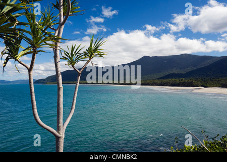 View over Myall Beach at Cape Tribulation, Daintree National Park, Daintree, Queensland, AUSTRALIA Stock Photo