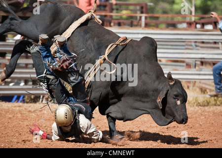 Bull rider getting bucked off his mount at Chillagoe Rodeo. Chillagoe, Queensland, Australia Stock Photo