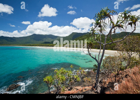 View of Myall Beach. Cape Tribulation, Daintree National Park, Queensland, Australia Stock Photo