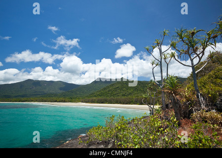 View of Myall Beach. Cape Tribulation, Daintree National Park, Queensland, Australia Stock Photo