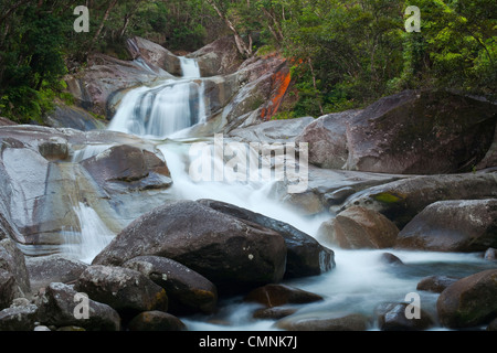 Josephine Falls - a popular freshwater swimming hole in Wooroonooran National Park. Innisfail, Queensland, Australia Stock Photo