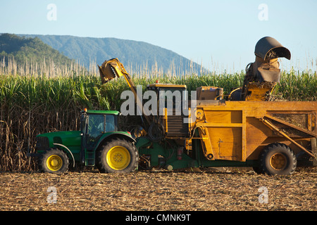 Mechanical harvesting of sugar cane near Cairns, Queensland, Australia Stock Photo