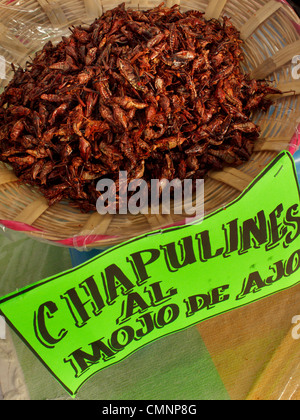 Roasted grasshoppers for sale in Mexican market. Stock Photo