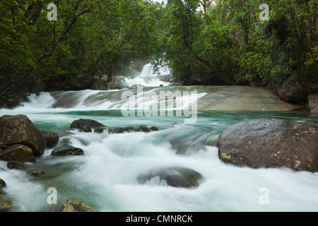 Josephine Falls - a popular freshwater swimming hole in Wooroonooran National Park. Innisfail, Queensland, Australia Stock Photo