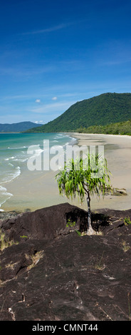 View along Noah Beach. Daintree National Park, Queensland, Australia Stock Photo