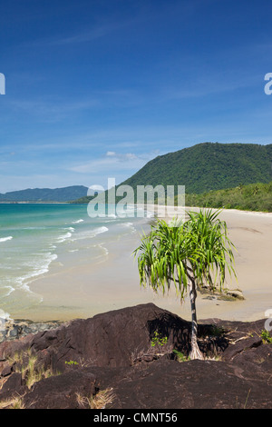 View along Noah Beach. Daintree National Park, Queensland, Australia Stock Photo