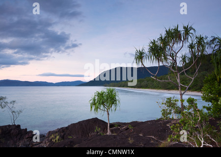 Twilight view along Noah Beach. Daintree National Park, Queensland, Australia Stock Photo